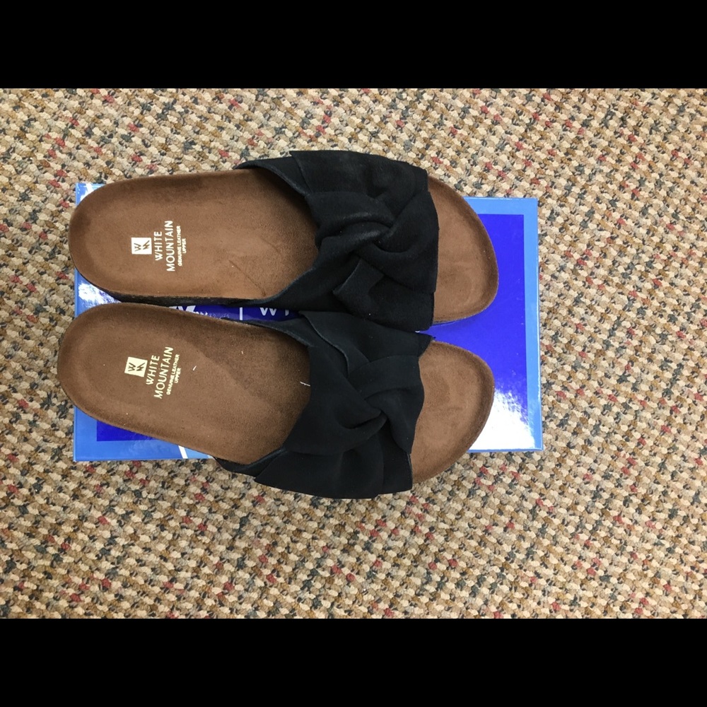 NEW White Mountain Slides